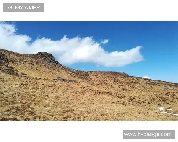 攀岩人生的深度对话：赵丽如何在高峰与挑战中找到自我