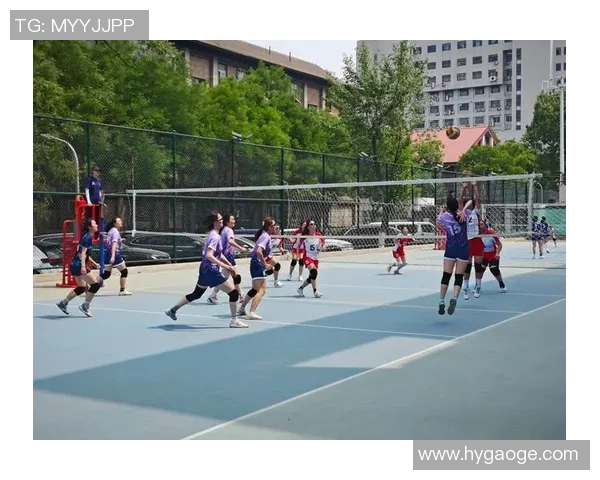 赛后分析：北京排球队与上海排球队技术对比与战术探讨